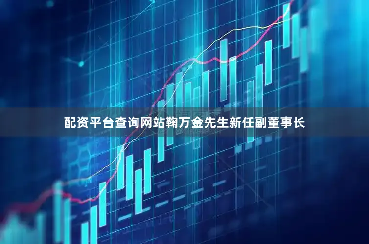配资平台查询网站鞠万金先生新任副董事长