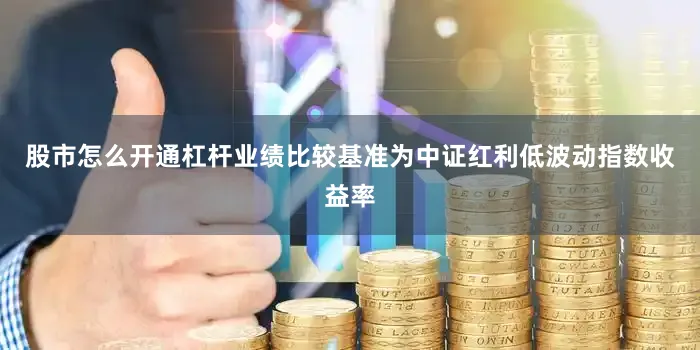 股市怎么开通杠杆业绩比较基准为中证红利低波动指数收益率