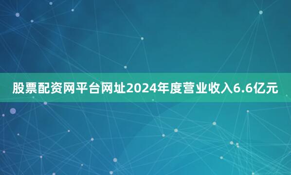 股票配资网平台网址2024年度营业收入6.6亿元