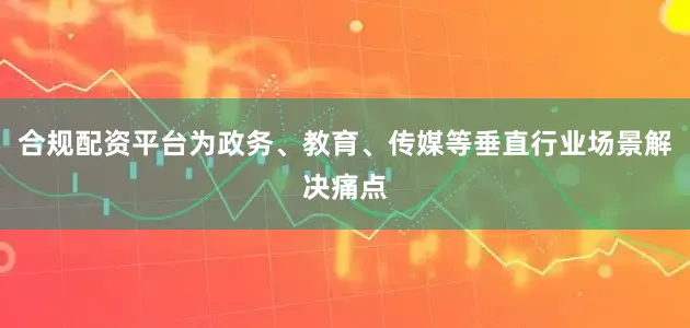 合规配资平台为政务、教育、传媒等垂直行业场景解决痛点