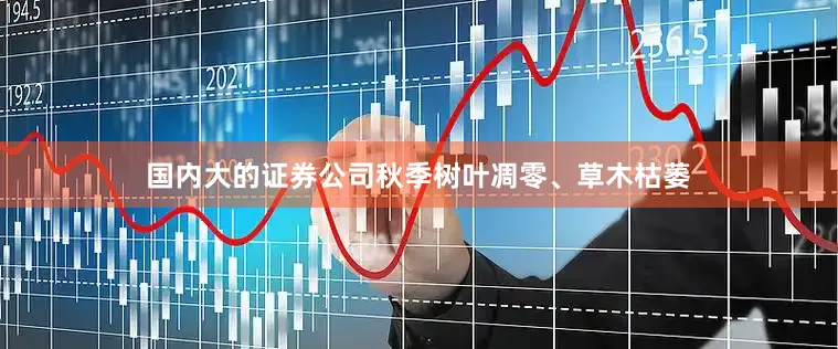 国内大的证券公司秋季树叶凋零、草木枯萎