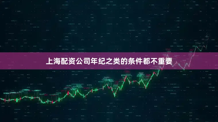 上海配资公司年纪之类的条件都不重要