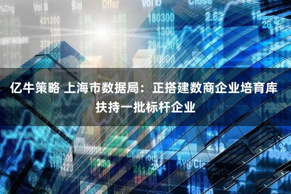 亿牛策略 上海市数据局：正搭建数商企业培育库 扶持一批标杆企业