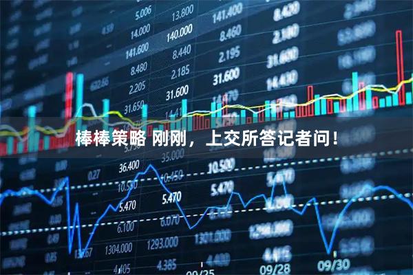 棒棒策略 刚刚，上交所答记者问！