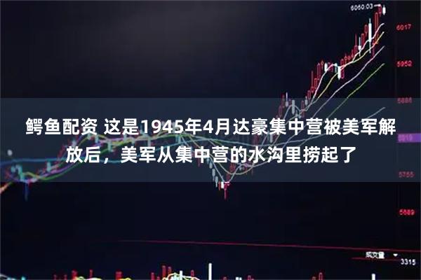 鳄鱼配资 这是1945年4月达豪集中营被美军解放后，美军从集中营的水沟里捞起了