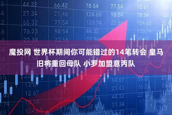 魔投网 世界杯期间你可能错过的14笔转会 皇马旧将重回母队 小罗加盟意丙队
